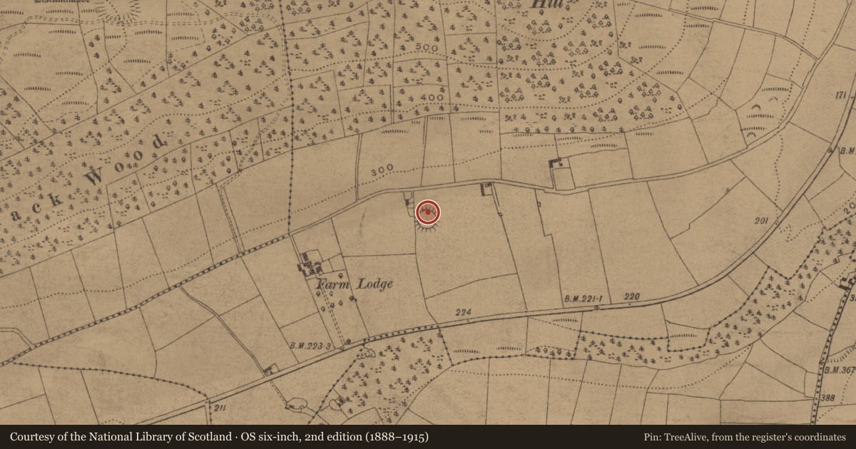 Ordnance Survey six-inch map, 2nd edition (1888–1915) covering the location of Ringfort - rath, Kilmacomma, County Waterford, with a pin at the register's coordinates