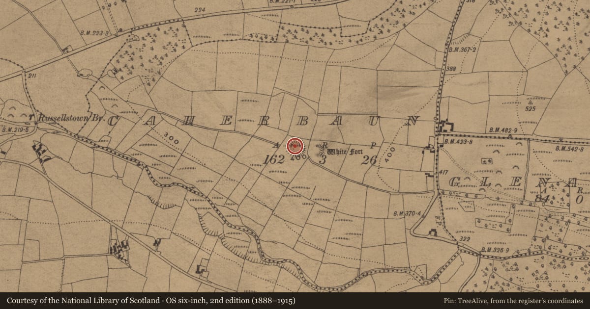 Ordnance Survey six-inch map, 2nd edition (1888–1915) covering the location of Ringfort - rath, Caherbaun, County Waterford, with a pin at the register's coordinates