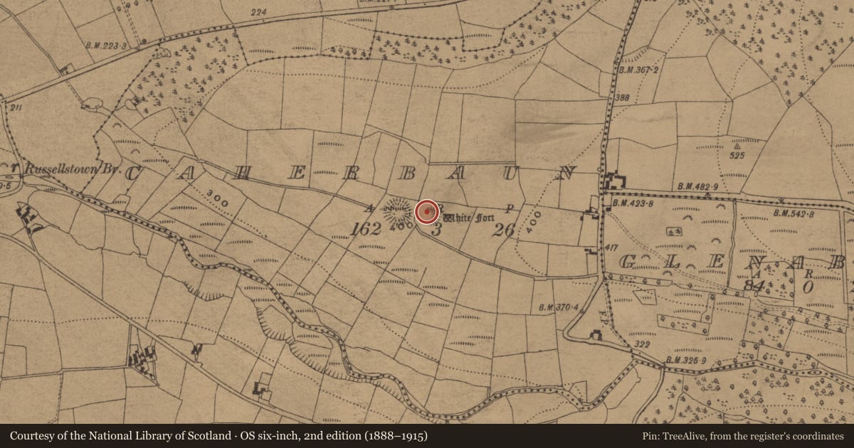 Ordnance Survey six-inch map, 2nd edition (1888–1915) covering the location of Ringfort - rath, Caherbaun, County Waterford, with a pin at the register's coordinates