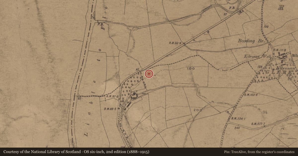 Ordnance Survey six-inch map, 2nd edition (1888–1915) covering the location of Enclosure, Kilmanahan, Whitesfort, County Waterford, with a pin at the register's coordinates
