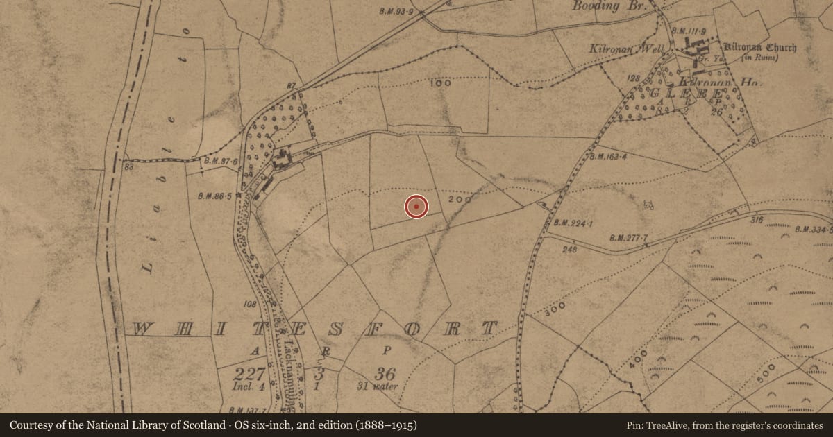 Ordnance Survey six-inch map, 2nd edition (1888–1915) covering the location of Enclosure, Whitesfort, County Waterford, with a pin at the register's coordinates
