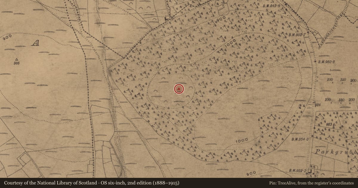 Ordnance Survey six-inch map, 2nd edition (1888–1915) covering the location of Cairn - unclassified, Glenary, County Waterford, with a pin at the register's coordinates