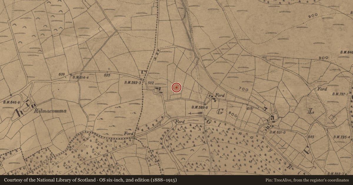 Ordnance Survey six-inch map, 2nd edition (1888–1915) covering the location of Fulacht fia, Glenary, County Waterford, with a pin at the register's coordinates