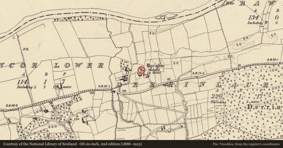 Ordnance Survey six-inch map, 2nd edition (1888–1915) covering the location of Castle - tower house, Derrinlaur Lower, County Waterford, with a pin at the register's coordinates