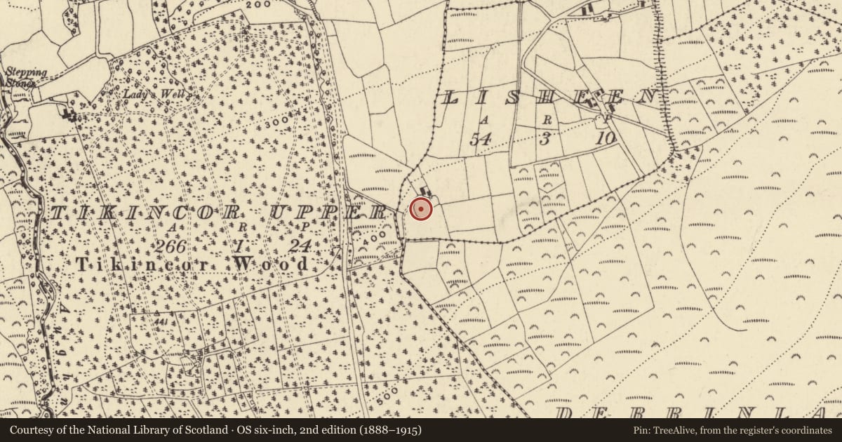 Ordnance Survey six-inch map, 2nd edition (1888–1915) covering the location of Ringfort - rath, Lisheen, County Waterford, with a pin at the register's coordinates