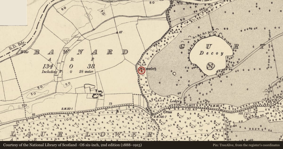 Ordnance Survey six-inch map, 2nd edition (1888–1915) covering the location of Megalithic tomb - portal tomb, Gurteen Lower, County Waterford, with a pin at the register's coordinates