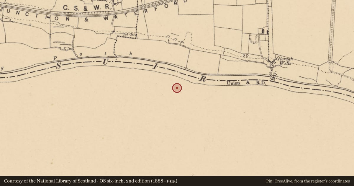 Ordnance Survey six-inch map, 2nd edition (1888–1915) covering the location of Castle - tower house, Glen Lower, County Waterford, with a pin at the register's coordinates