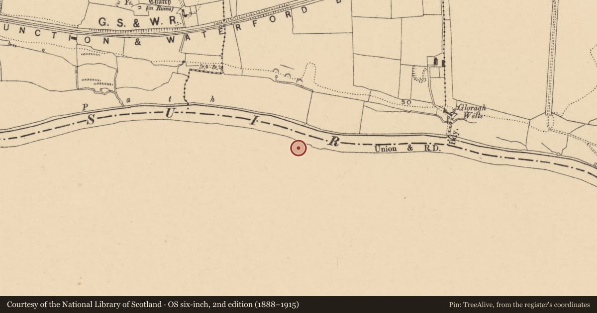 Ordnance Survey six-inch map, 2nd edition (1888–1915) covering the location of Inscribed stone, Glen Lower, County Waterford, with a pin at the register's coordinates