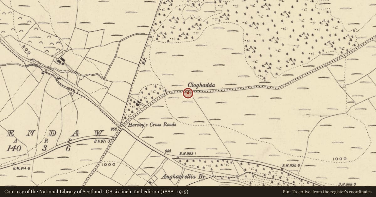 Ordnance Survey six-inch map, 2nd edition (1888–1915) covering the location of Standing stone, Gurteen Upper, County Waterford, with a pin at the register's coordinates