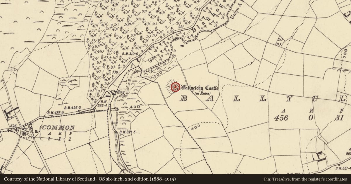Ordnance Survey six-inch map, 2nd edition (1888–1915) covering the location of Bawn, Ballyclohy, County Waterford, with a pin at the register's coordinates