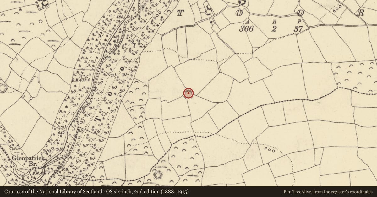 Ordnance Survey six-inch map, 2nd edition (1888–1915) covering the location of Ringfort - rath, Toor, County Waterford, with a pin at the register's coordinates