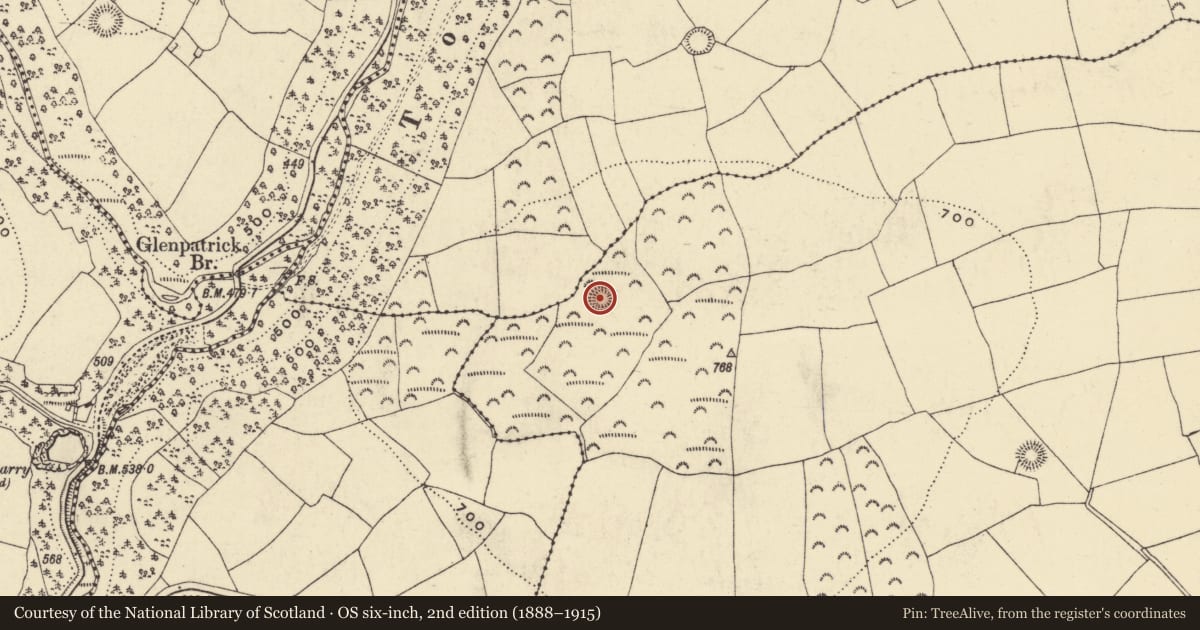 Ordnance Survey six-inch map, 2nd edition (1888–1915) covering the location of Ringfort - rath, Curraghkiely, County Waterford, with a pin at the register's coordinates