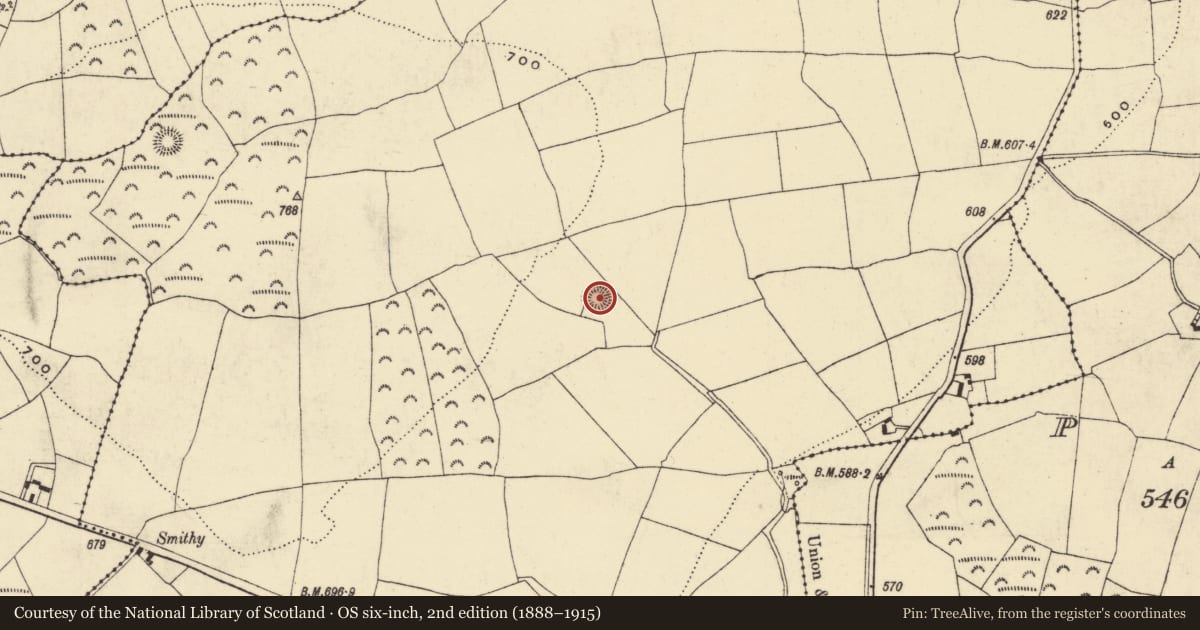 Ordnance Survey six-inch map, 2nd edition (1888–1915) covering the location of Ringfort - rath, Curraghkiely, County Waterford, with a pin at the register's coordinates