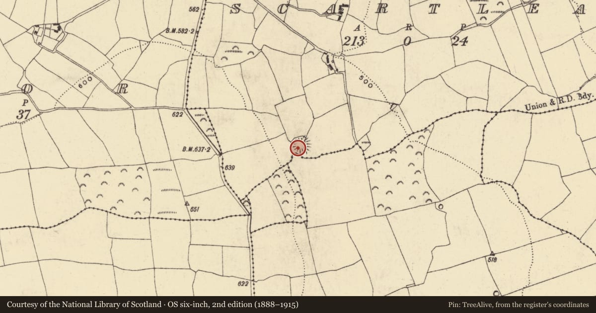 Ordnance Survey six-inch map, 2nd edition (1888–1915) covering the location of Enclosure, Scartlea, County Waterford, with a pin at the register's coordinates