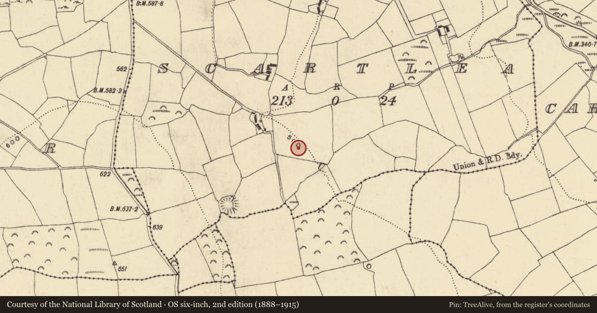 Ordnance Survey six-inch map, 2nd edition (1888–1915) covering the location of Enclosure, Scartlea, County Waterford, with a pin at the register's coordinates