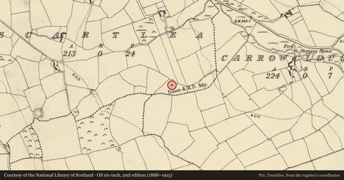 Ordnance Survey six-inch map, 2nd edition (1888–1915) covering the location of Enclosure, Scartlea, County Waterford, with a pin at the register's coordinates