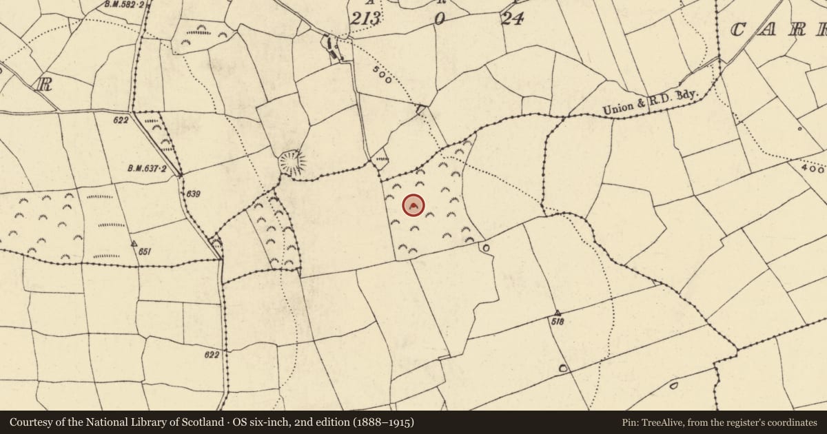Ordnance Survey six-inch map, 2nd edition (1888–1915) covering the location of Enclosure, Park, County Waterford, with a pin at the register's coordinates