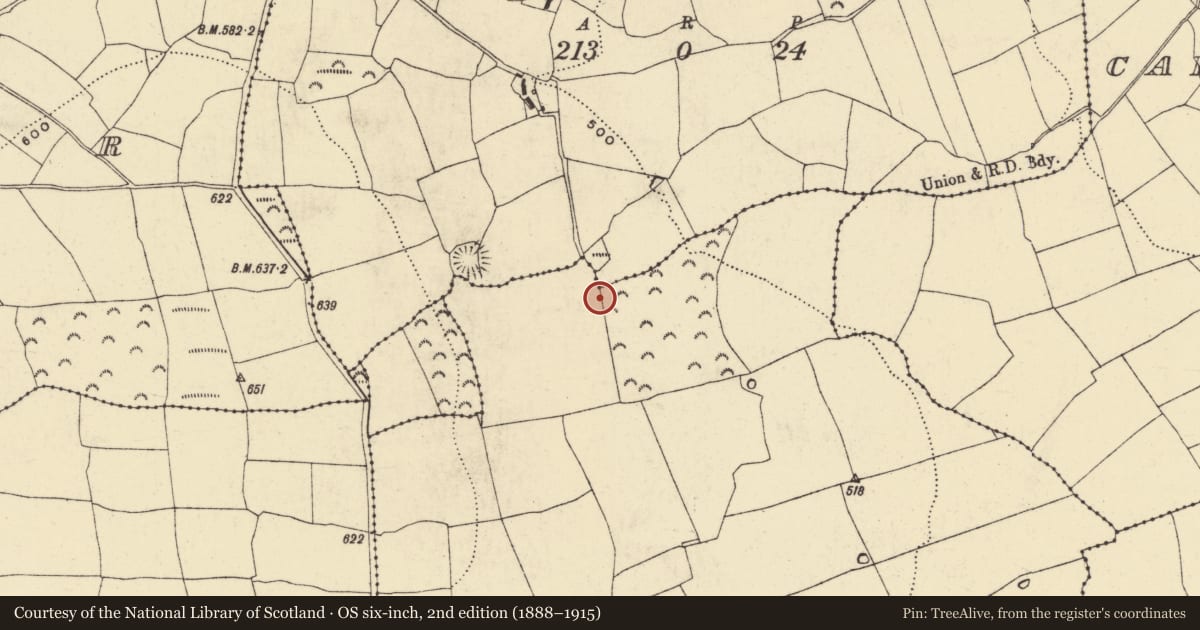Ordnance Survey six-inch map, 2nd edition (1888–1915) covering the location of Bullaun stone, Park, County Waterford, with a pin at the register's coordinates