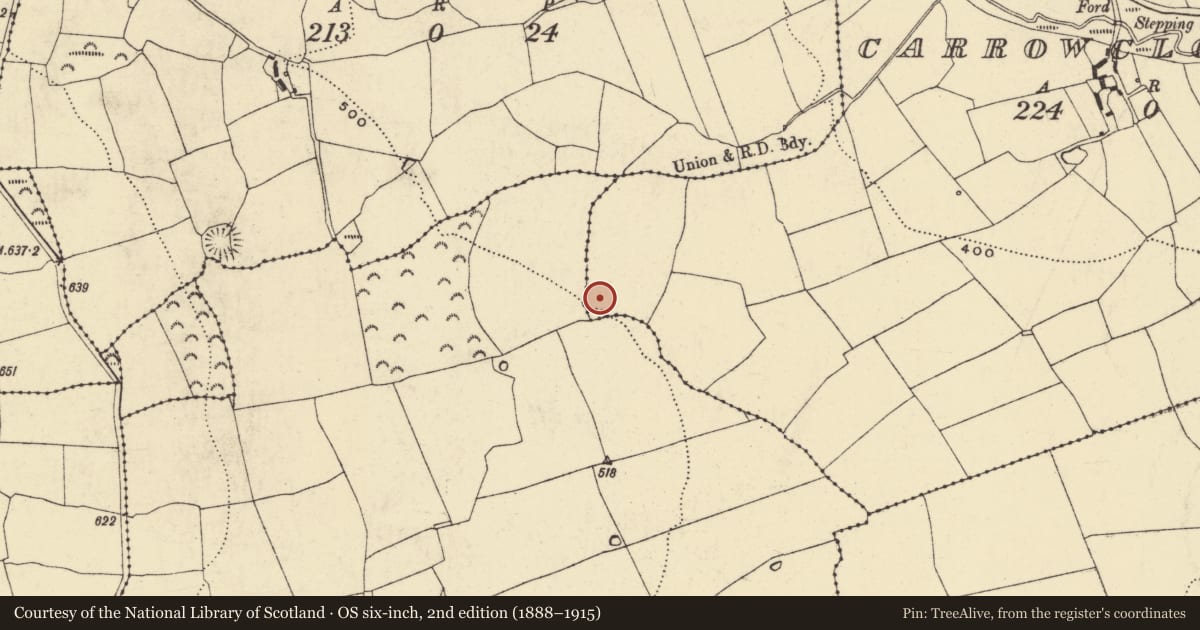 Ordnance Survey six-inch map, 2nd edition (1888–1915) covering the location of Ringfort - rath, Carrowclough (Upperthird By., Dysert Par.), County Waterford, with a pin at the register's coordinates