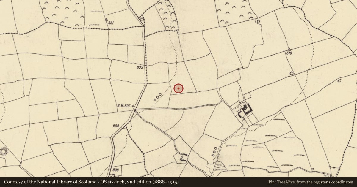 Ordnance Survey six-inch map, 2nd edition (1888–1915) covering the location of Enclosure, Park, County Waterford, with a pin at the register's coordinates