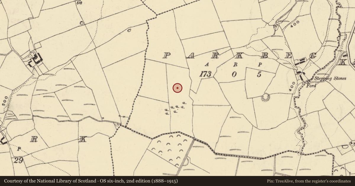 Ordnance Survey six-inch map, 2nd edition (1888–1915) covering the location of Ringfort - rath, Parkbeg, County Waterford, with a pin at the register's coordinates