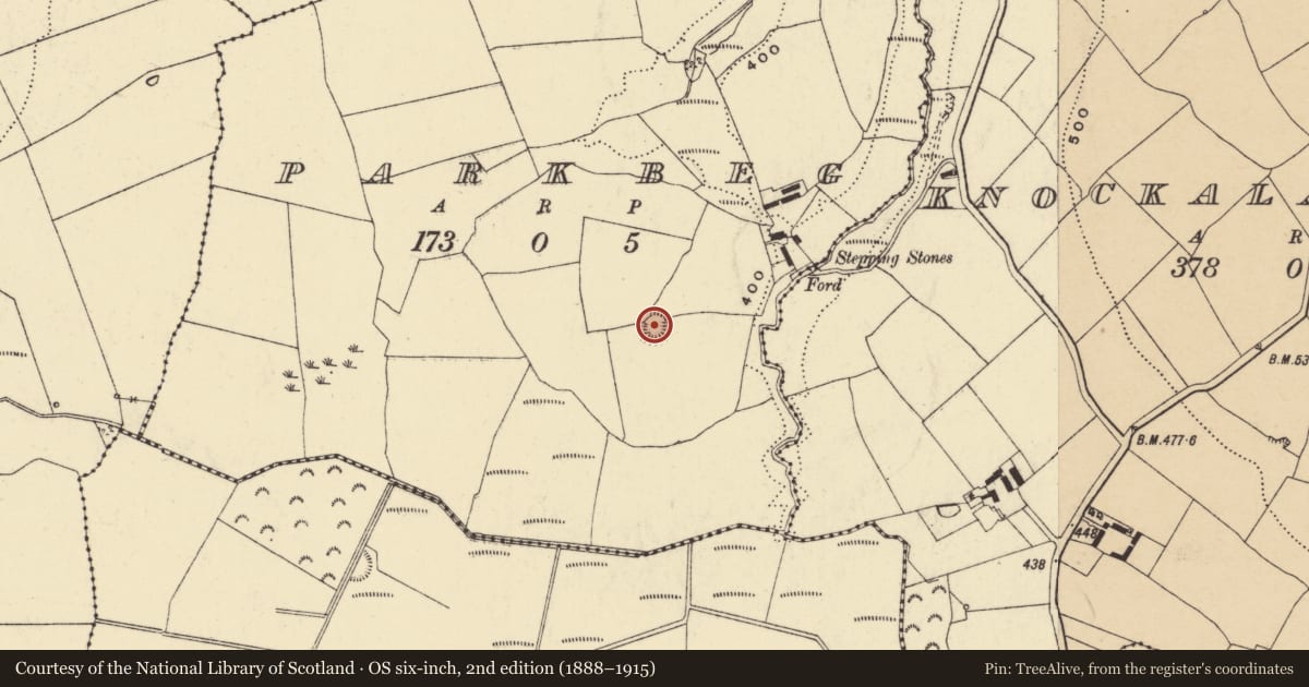 Ordnance Survey six-inch map, 2nd edition (1888–1915) covering the location of Ringfort - rath, Parkbeg, County Waterford, with a pin at the register's coordinates