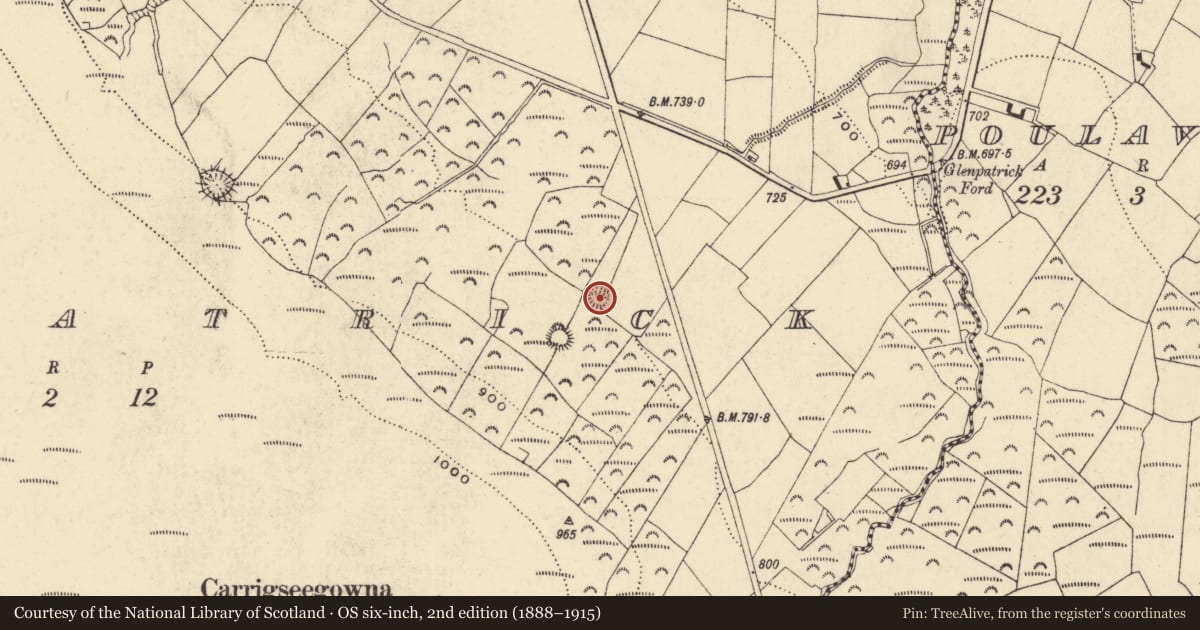Ordnance Survey six-inch map, 2nd edition (1888–1915) covering the location of Ringfort - rath, Glenpatrick, County Waterford, with a pin at the register's coordinates