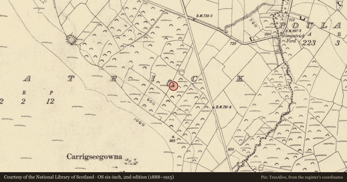 Ordnance Survey six-inch map, 2nd edition (1888–1915) covering the location of Ringfort - rath, Glenpatrick, County Waterford, with a pin at the register's coordinates