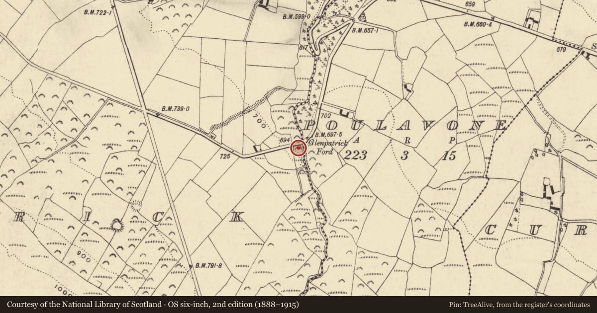 Ordnance Survey six-inch map, 2nd edition (1888–1915) covering the location of Burial ground, Glenpatrick, County Waterford, with a pin at the register's coordinates