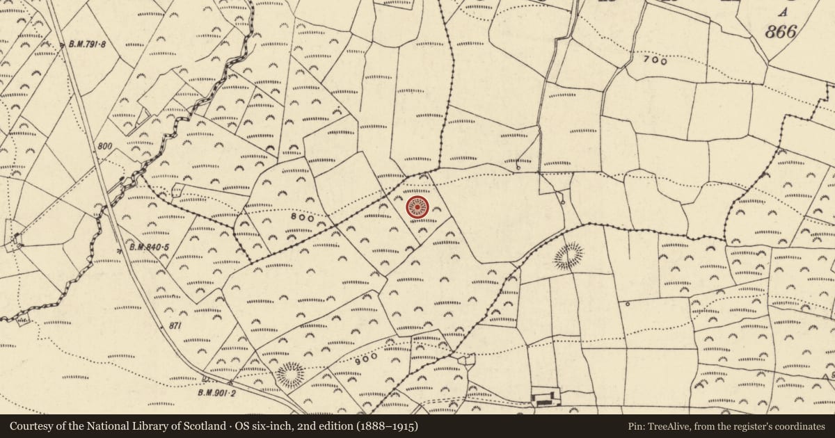 Ordnance Survey six-inch map, 2nd edition (1888–1915) covering the location of Ringfort - rath, Curraghkiely, County Waterford, with a pin at the register's coordinates