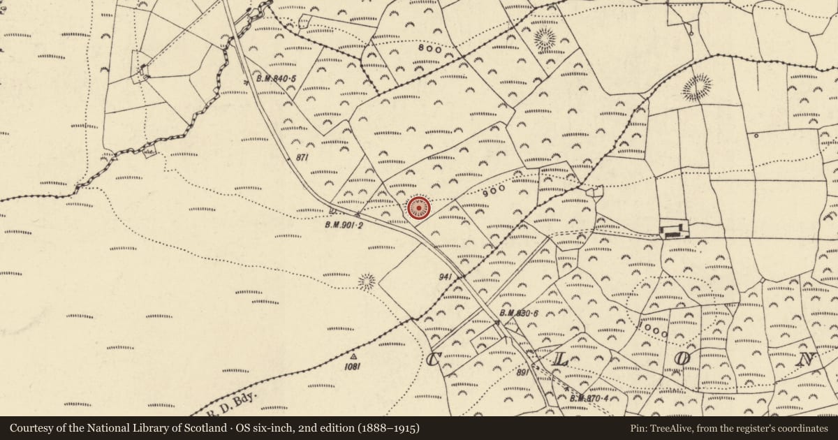 Ordnance Survey six-inch map, 2nd edition (1888–1915) covering the location of Ringfort - rath, Curraghkiely, County Waterford, with a pin at the register's coordinates