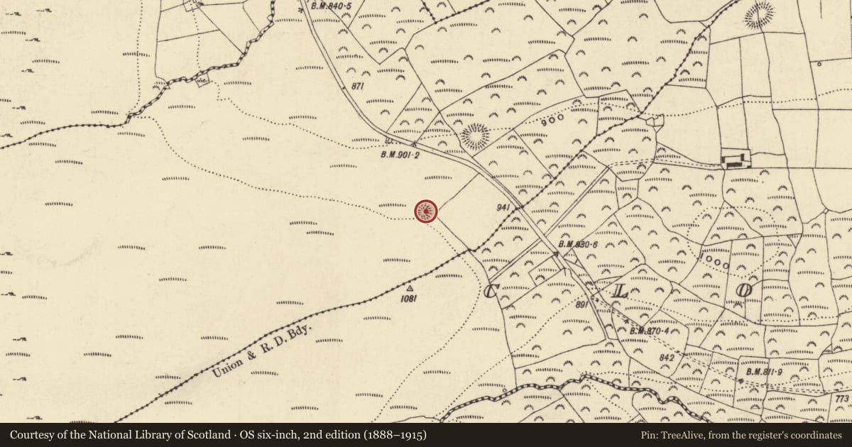 Ordnance Survey six-inch map, 2nd edition (1888–1915) covering the location of Ringfort - rath, Curraghkiely, County Waterford, with a pin at the register's coordinates