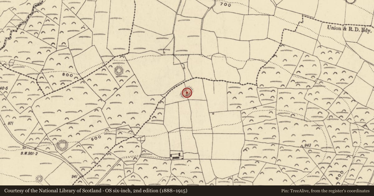 Ordnance Survey six-inch map, 2nd edition (1888–1915) covering the location of Ringfort - rath, Clondonnell, County Waterford, with a pin at the register's coordinates