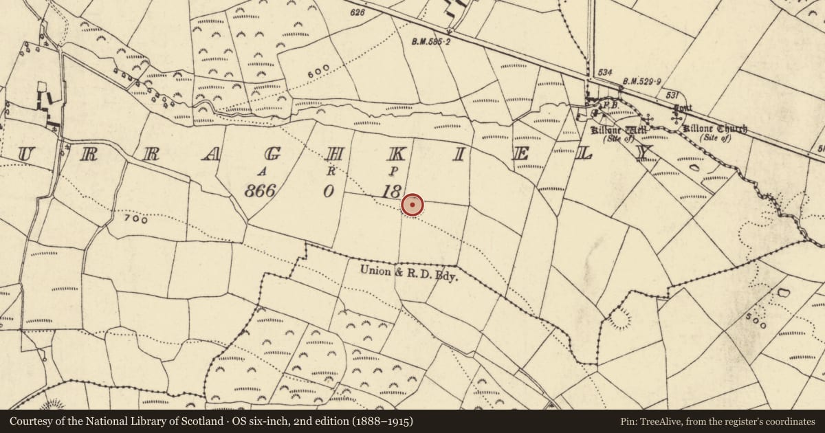 Ordnance Survey six-inch map, 2nd edition (1888–1915) covering the location of Ringfort - rath, Curraghkiely, County Waterford, with a pin at the register's coordinates