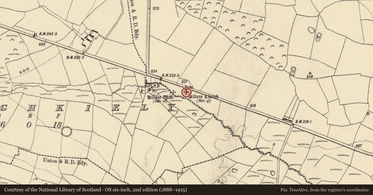 Ordnance Survey six-inch map, 2nd edition (1888–1915) covering the location of Church, Park, County Waterford, with a pin at the register's coordinates