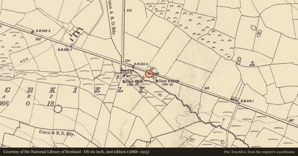 Ordnance Survey six-inch map, 2nd edition (1888–1915) covering the location of Ecclesiastical enclosure, Park, County Waterford, with a pin at the register's coordinates