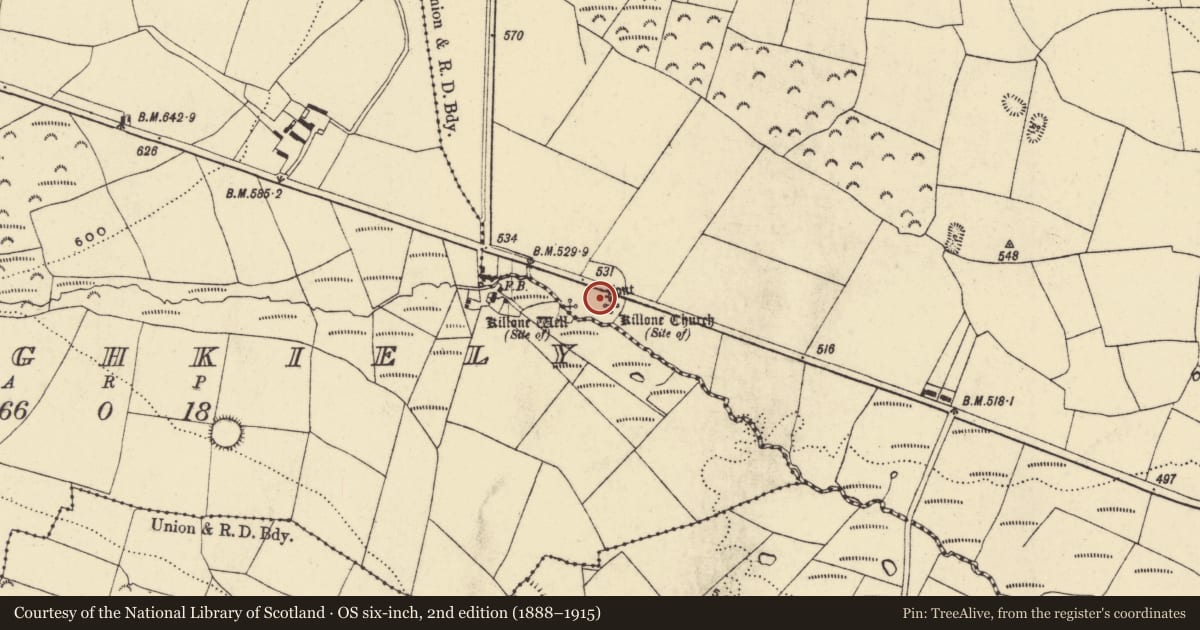 Ordnance Survey six-inch map, 2nd edition (1888–1915) covering the location of Megalithic structure, Park, County Waterford, with a pin at the register's coordinates