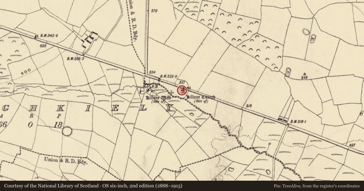 Ordnance Survey six-inch map, 2nd edition (1888–1915) covering the location of Cairn - clearance cairn, Park, County Waterford, with a pin at the register's coordinates