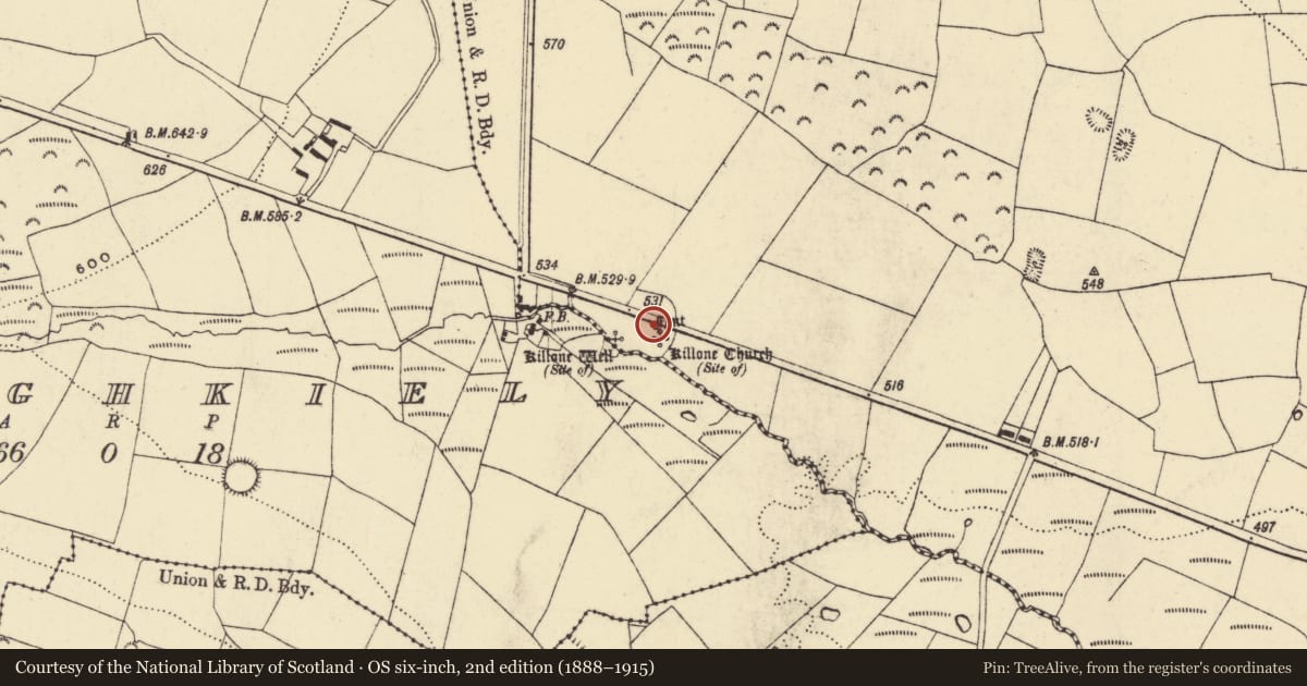 Ordnance Survey six-inch map, 2nd edition (1888–1915) covering the location of Megalithic structure, Park, County Waterford, with a pin at the register's coordinates