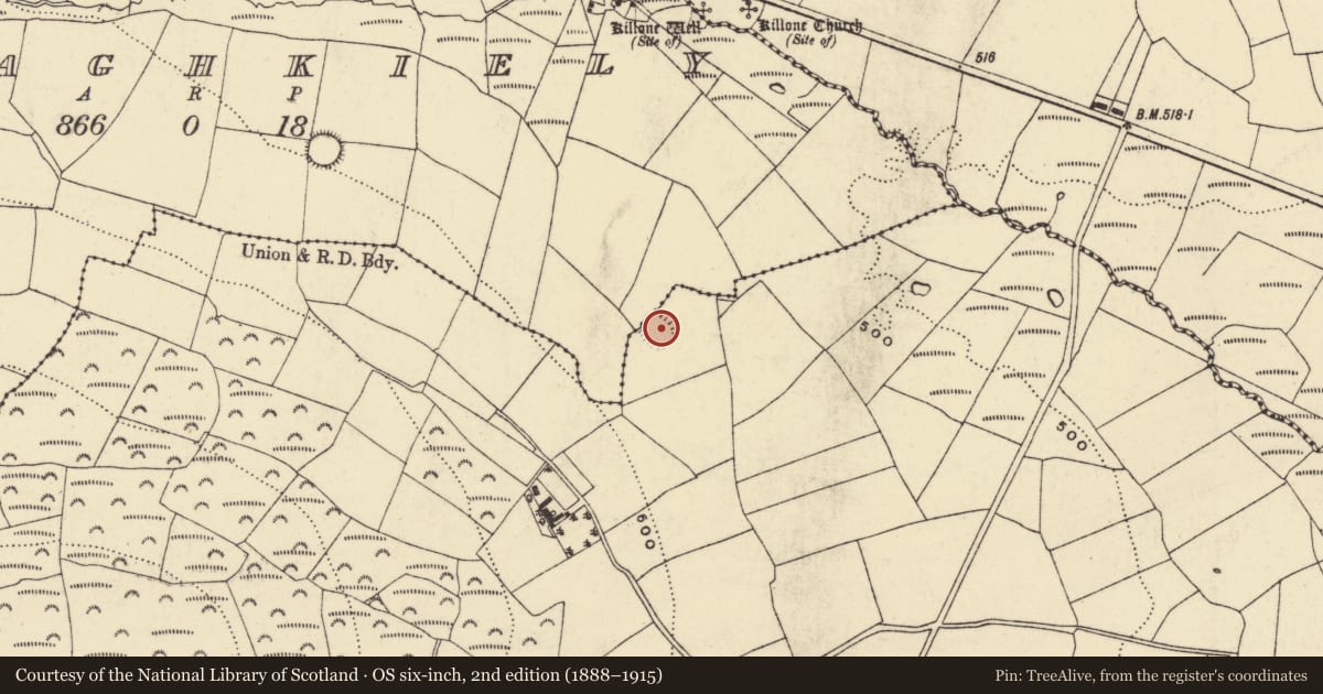 Ordnance Survey six-inch map, 2nd edition (1888–1915) covering the location of Enclosure, Clondonnell, County Waterford, with a pin at the register's coordinates