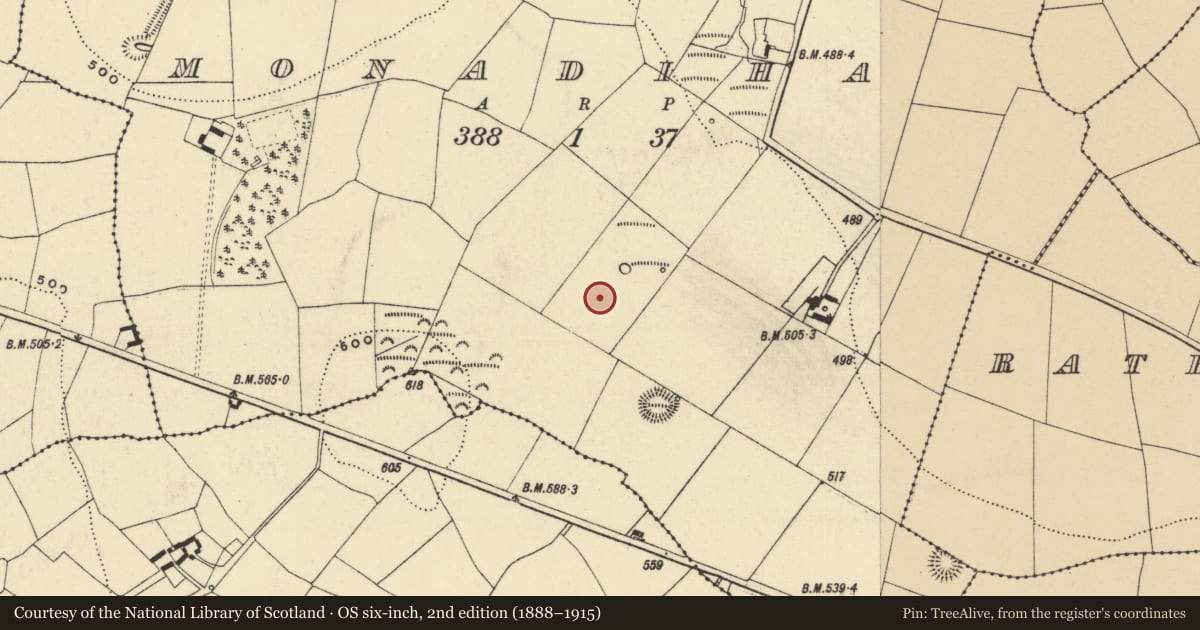 Ordnance Survey six-inch map, 2nd edition (1888–1915) covering the location of Standing stone, Monadiha, County Waterford, with a pin at the register's coordinates