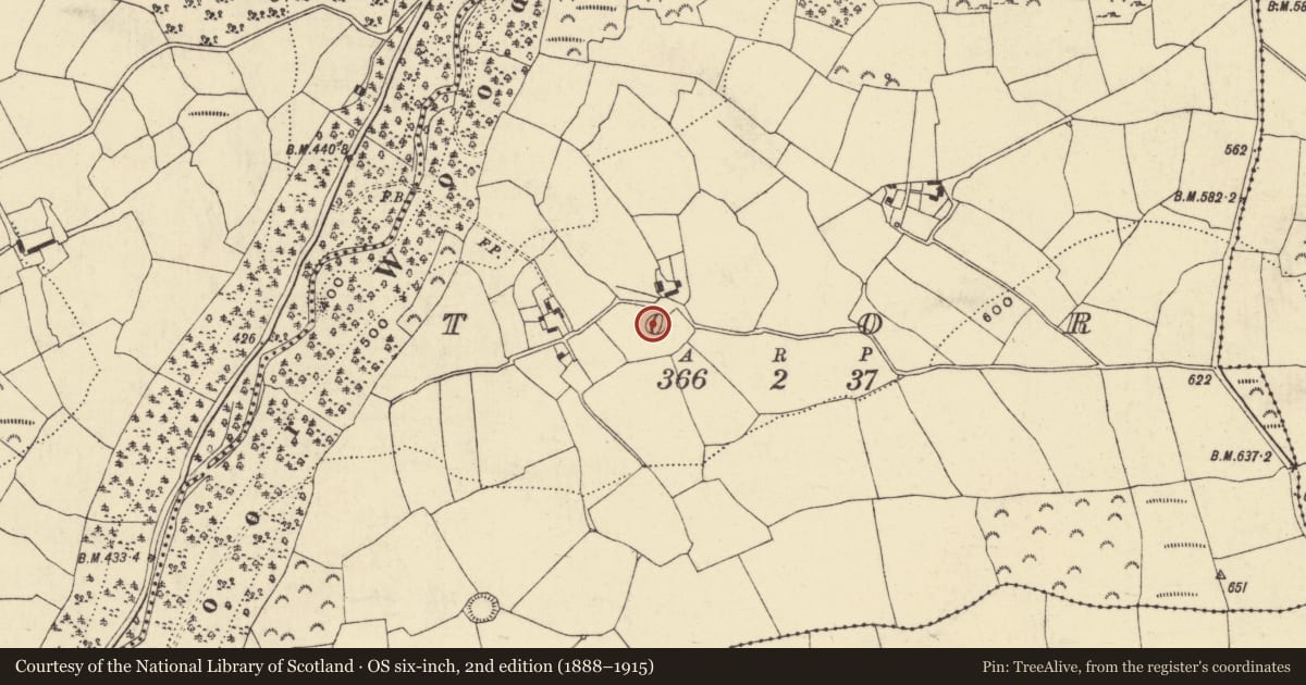 Ordnance Survey six-inch map, 2nd edition (1888–1915) covering the location of Burnt mound, Toor, County Waterford, with a pin at the register's coordinates