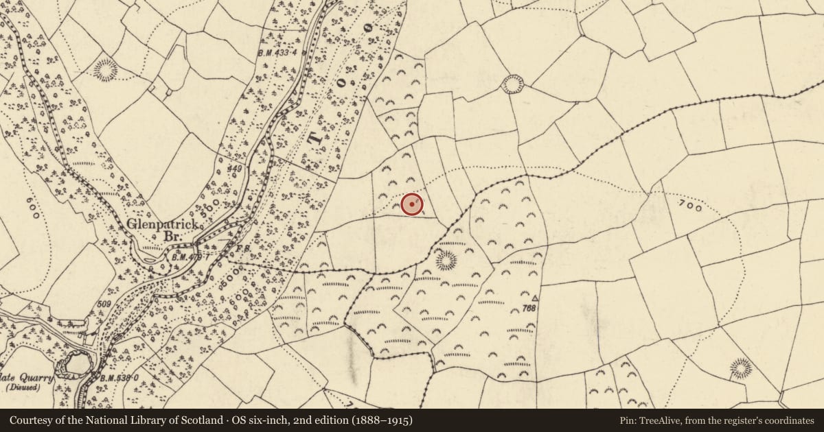 Ordnance Survey six-inch map, 2nd edition (1888–1915) covering the location of Burnt mound, Toor, County Waterford, with a pin at the register's coordinates
