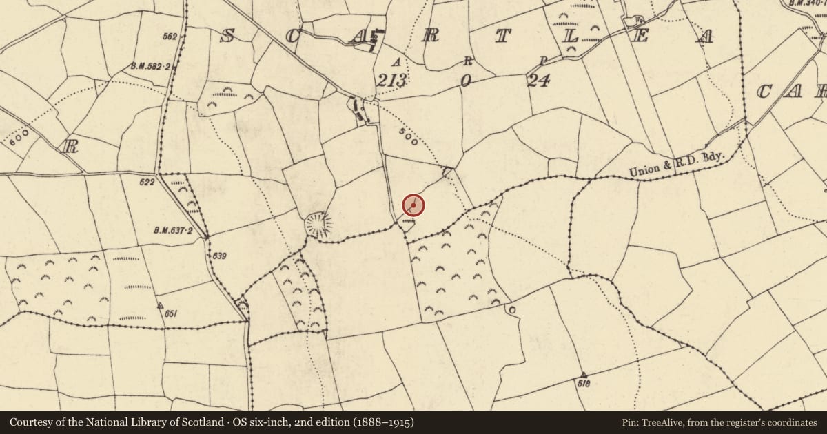 Ordnance Survey six-inch map, 2nd edition (1888–1915) covering the location of Burnt mound, Scartlea, County Waterford, with a pin at the register's coordinates
