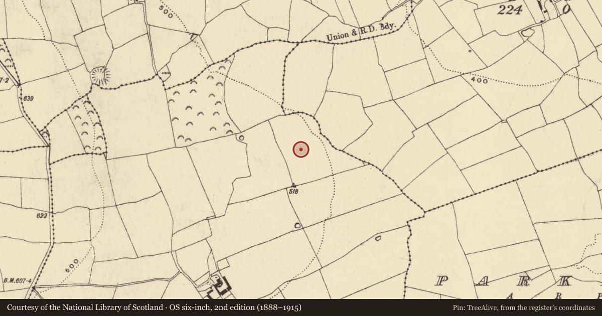 Ordnance Survey six-inch map, 2nd edition (1888–1915) covering the location of Standing stone, Park, County Waterford, with a pin at the register's coordinates