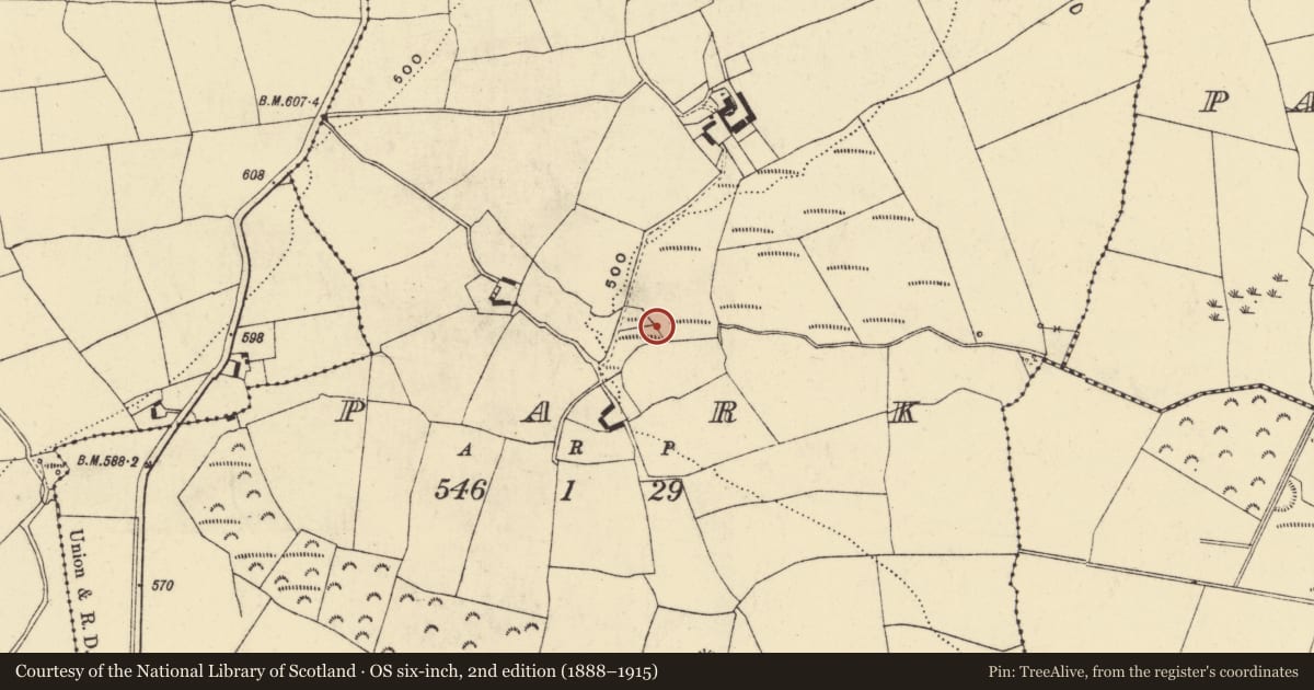 Ordnance Survey six-inch map, 2nd edition (1888–1915) covering the location of Water mill - horizontal-wheeled, Park, County Waterford, with a pin at the register's coordinates