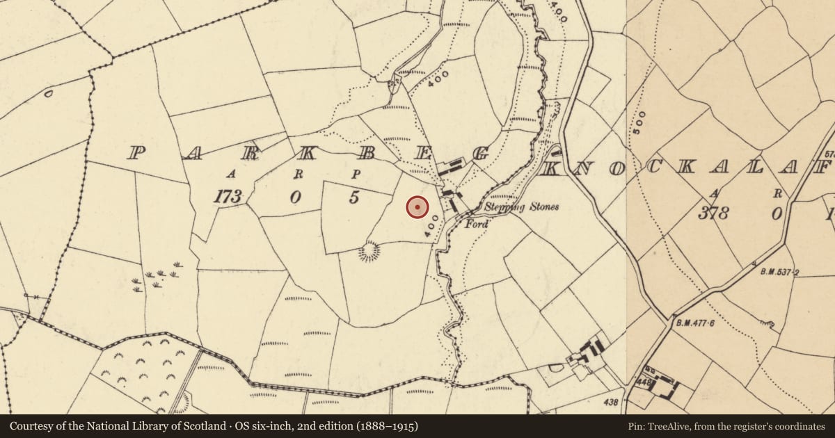 Ordnance Survey six-inch map, 2nd edition (1888–1915) covering the location of Standing stone, Parkbeg, County Waterford, with a pin at the register's coordinates