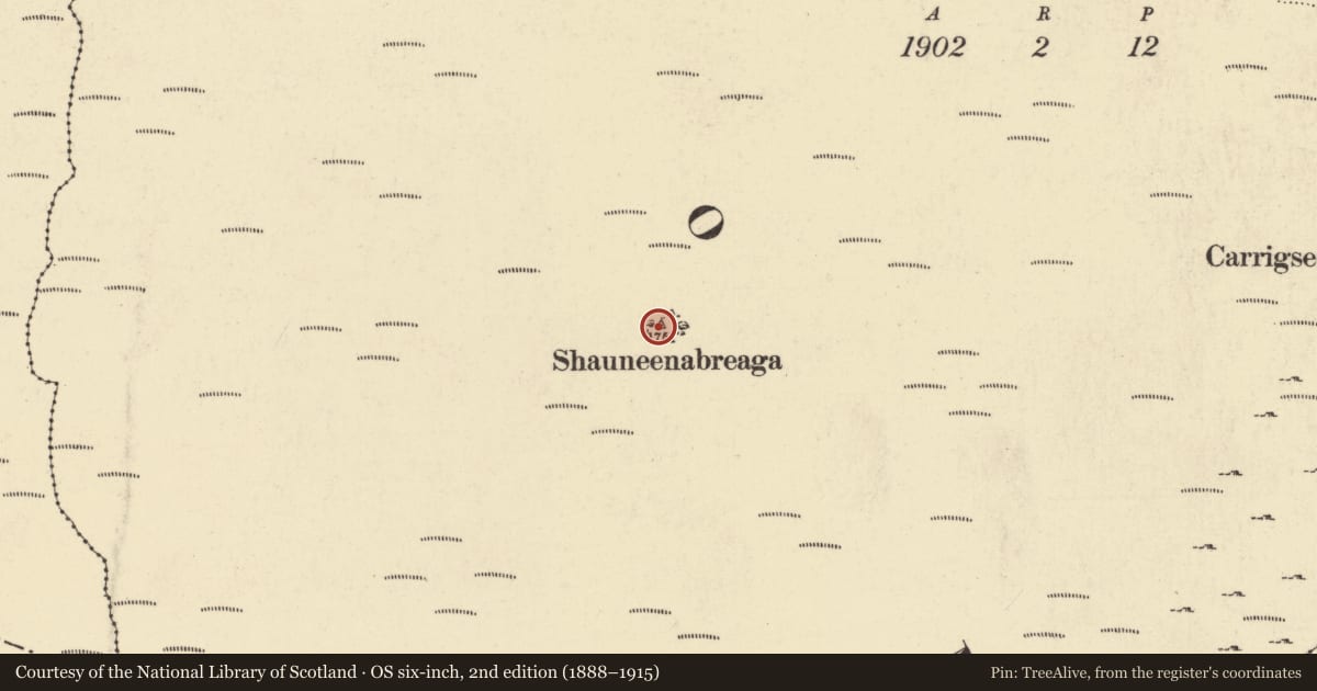 Ordnance Survey six-inch map, 2nd edition (1888–1915) covering the location of Cairn - unclassified, Glenpatrick, County Waterford, with a pin at the register's coordinates