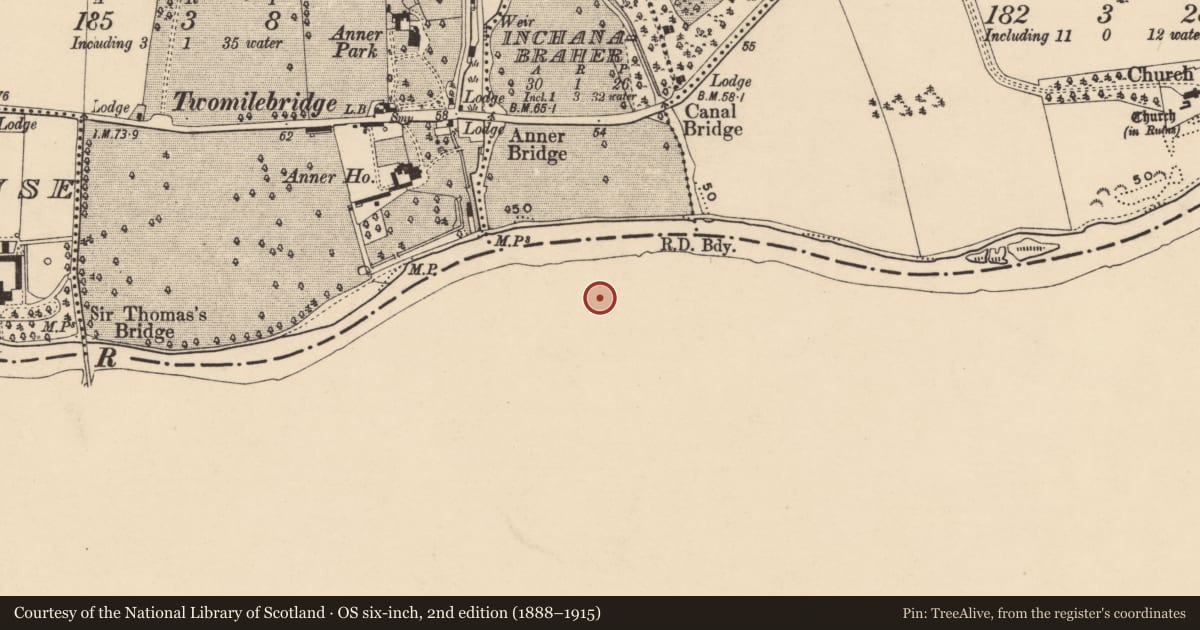 Ordnance Survey six-inch map, 2nd edition (1888–1915) covering the location of Enclosure, Tikincor Lower, County Waterford, with a pin at the register's coordinates