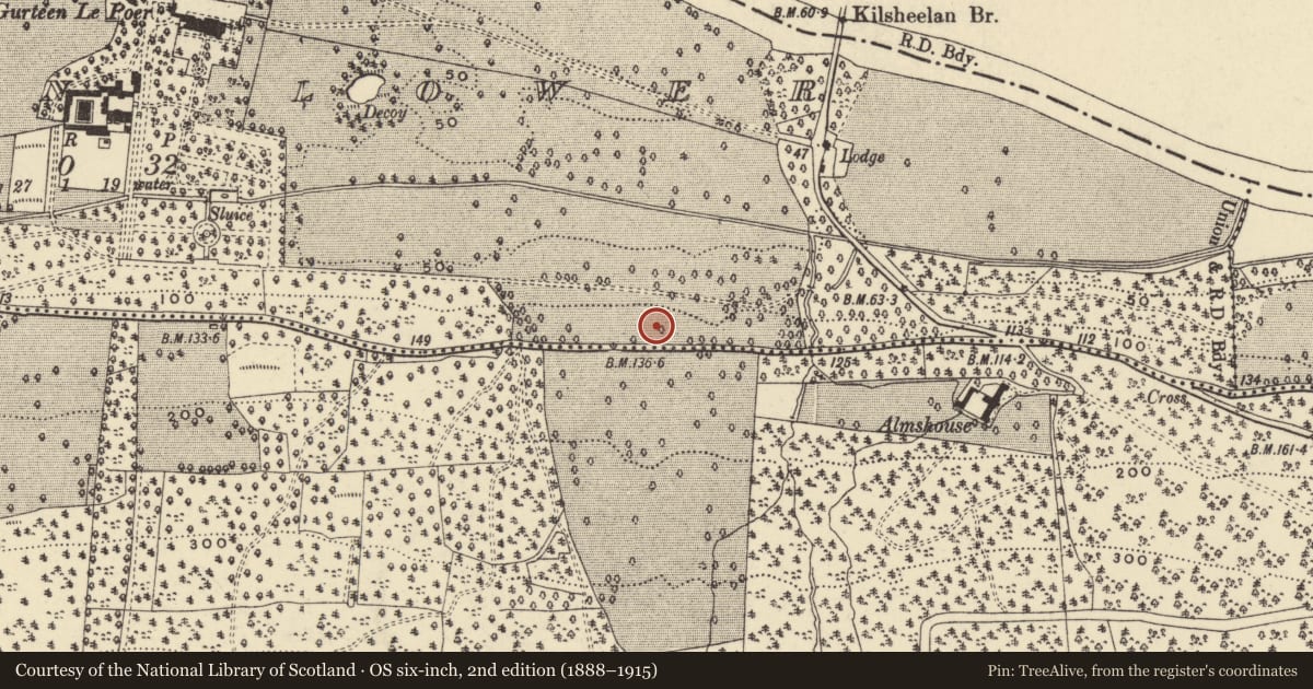 Ordnance Survey six-inch map, 2nd edition (1888–1915) covering the location of Standing stone, Gurteen Lower, County Waterford, with a pin at the register's coordinates